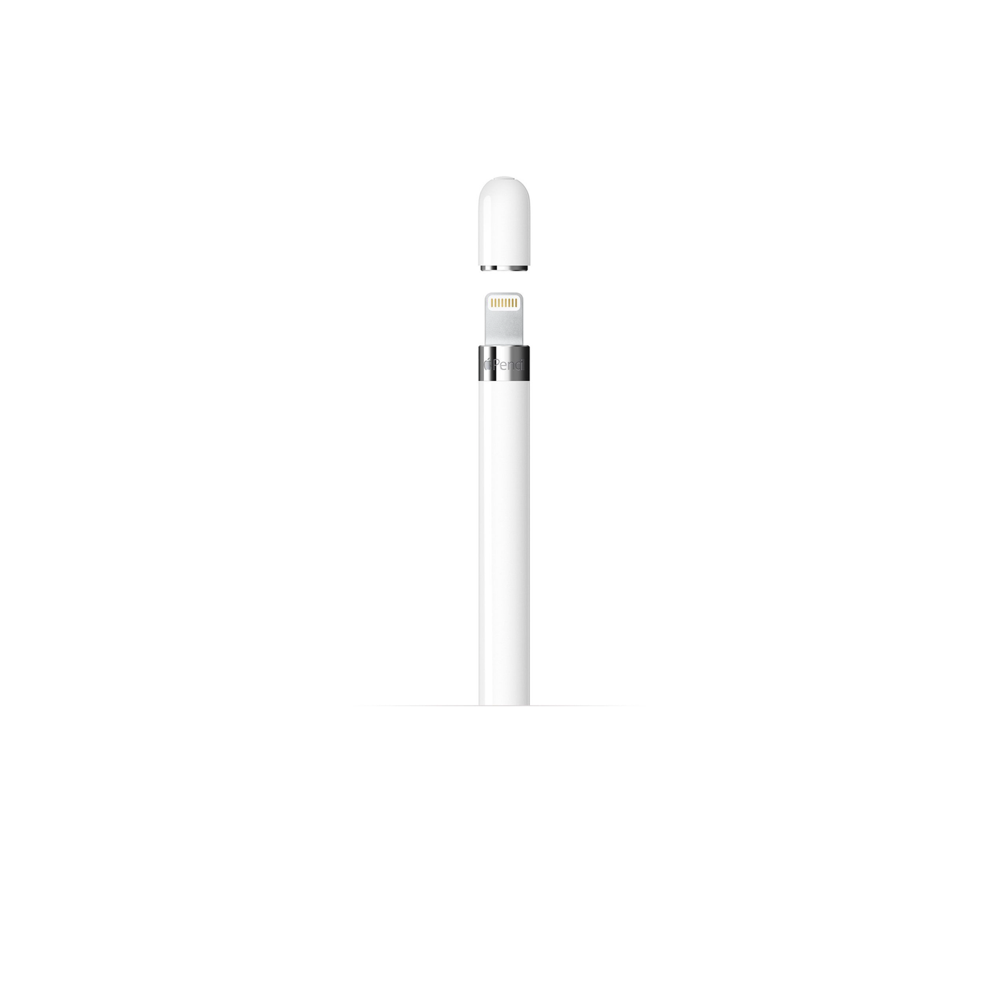 Apple - Pencil (1st Generation) with USB-C to Pencil Adapter - White