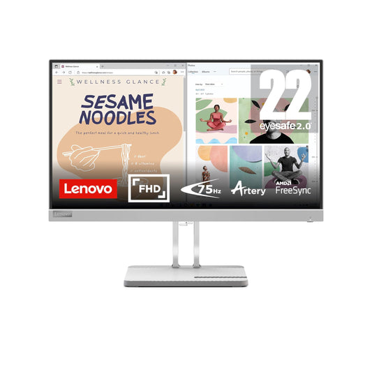 Lenovo L22i-40 21.5 inch Monitor
