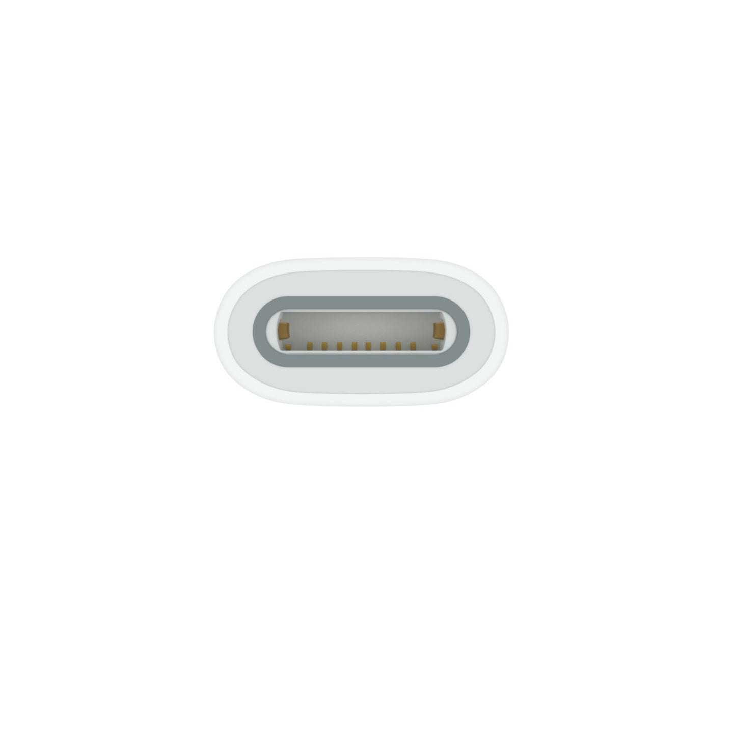 USB-C to Apple Pencil Adapter