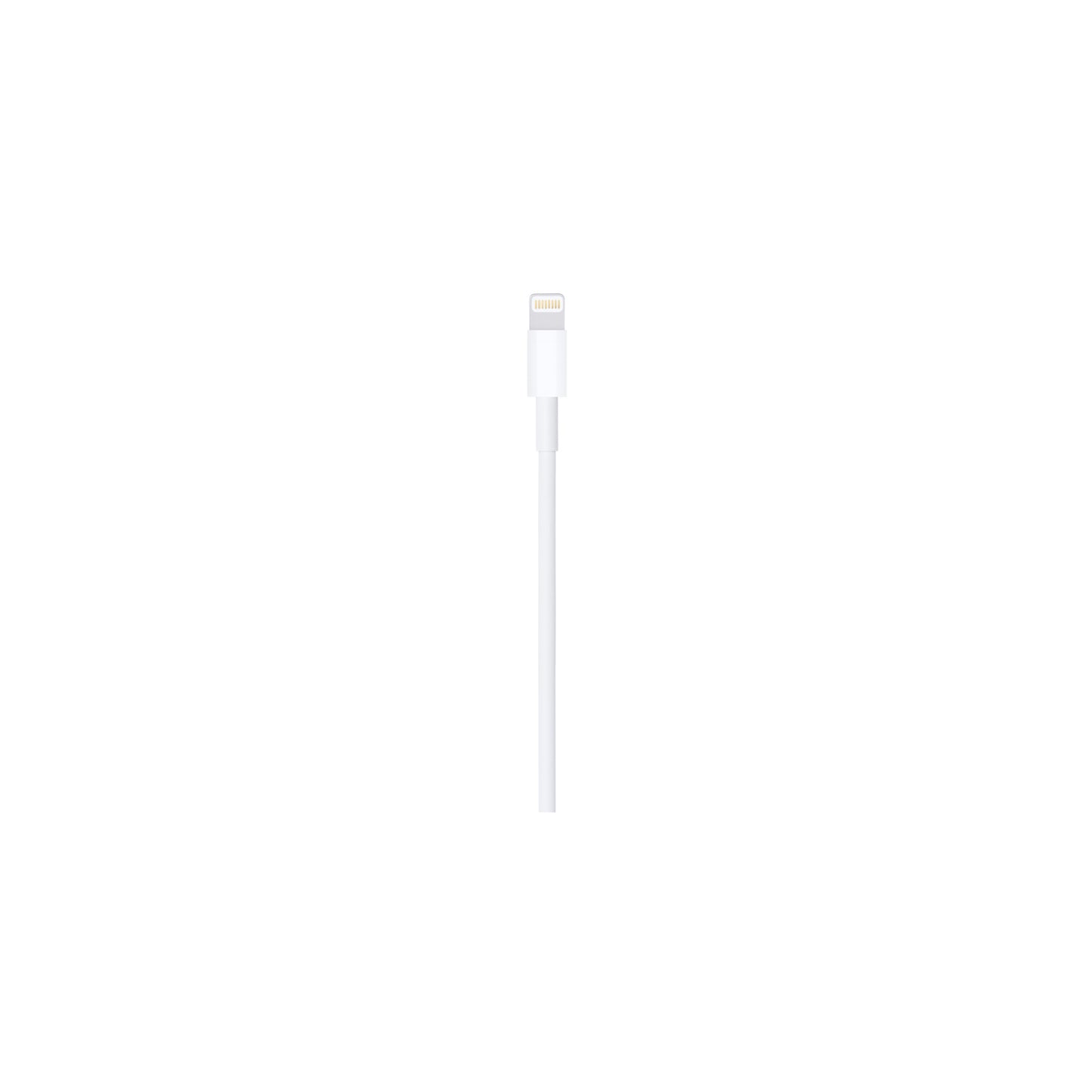 Lightning to USB Cable (0.5 m)