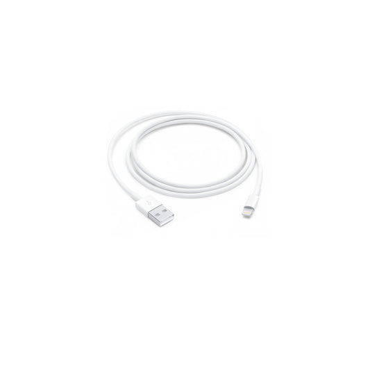 Lightning to USB Cable (1 m)