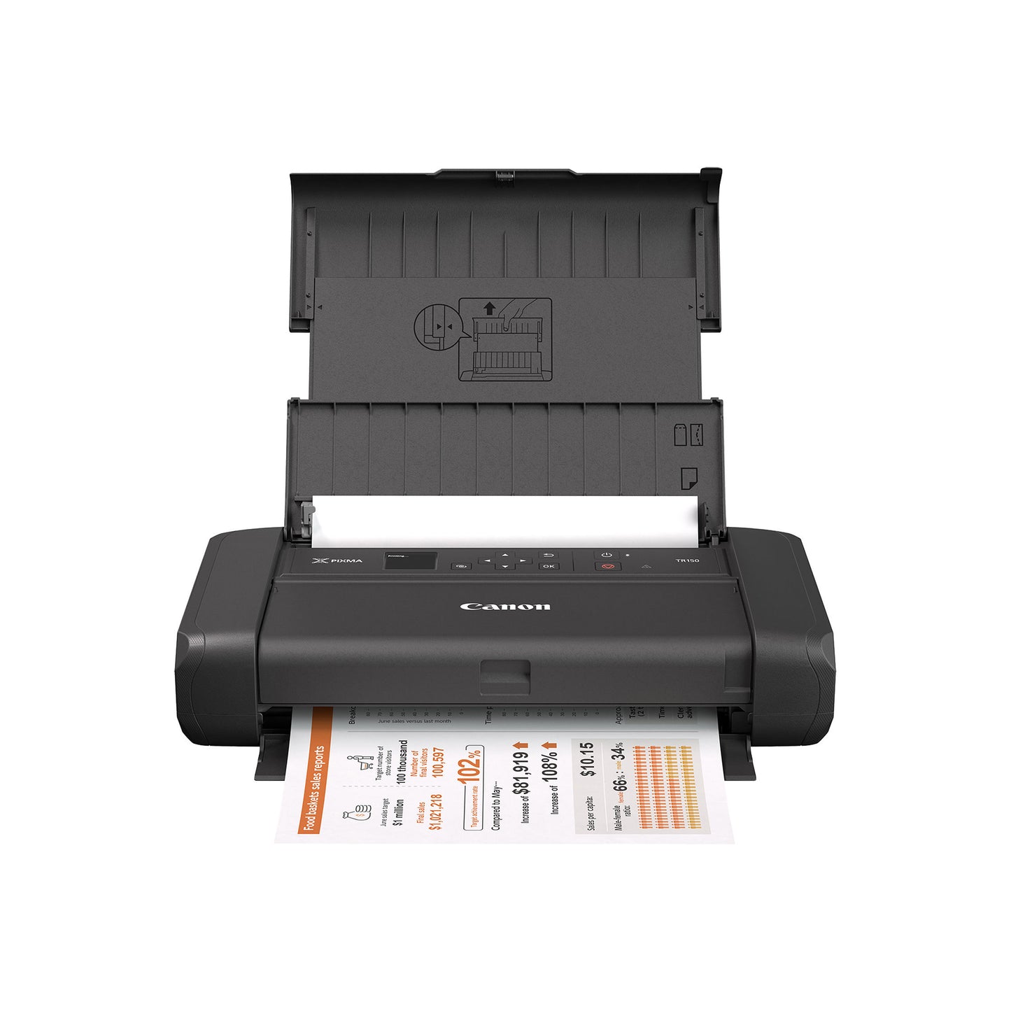 Canon PIXMA TR150 Wireless Portable Printer