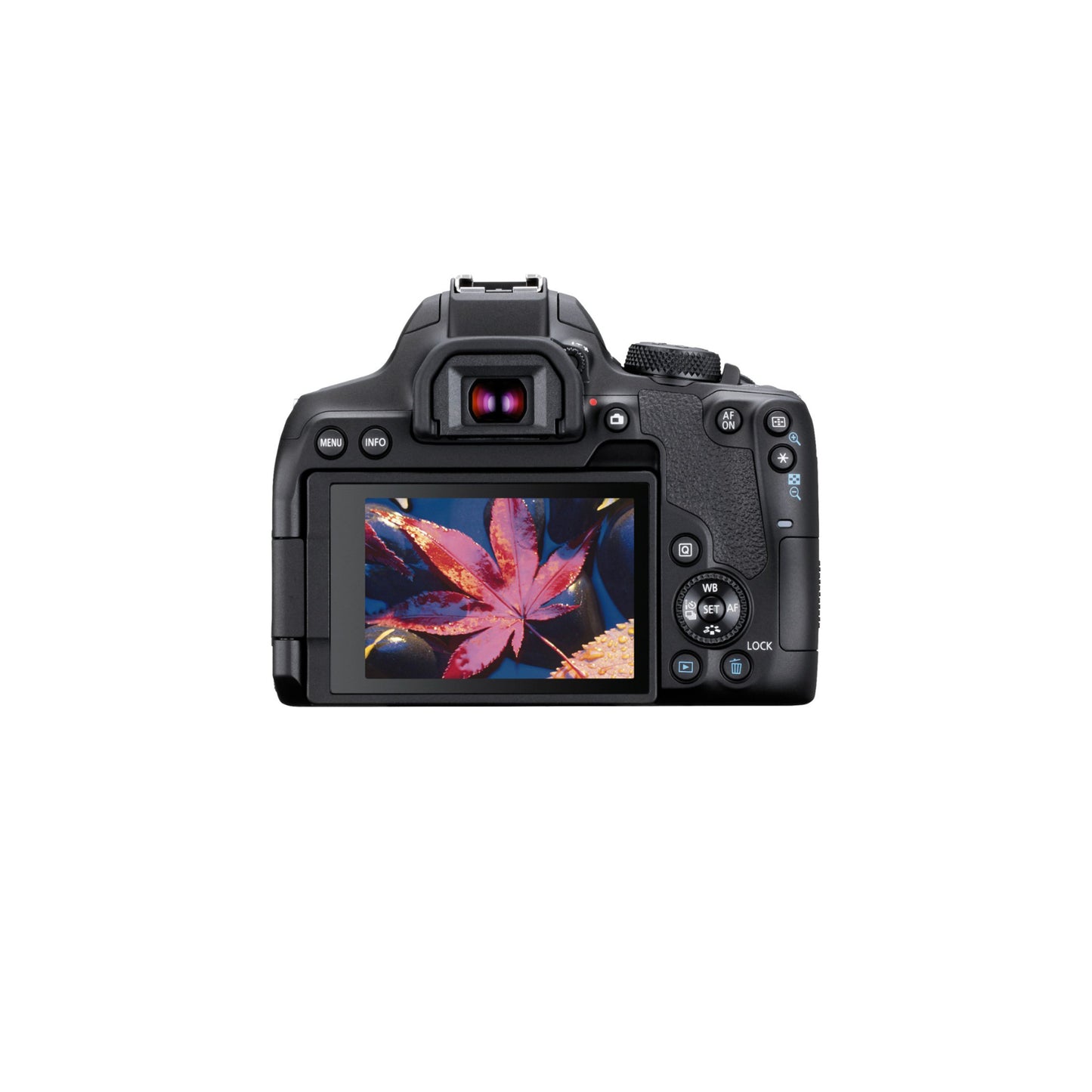 كاميرا كانون - EOS Rebel T8i DSLR مع عدسة EF-S مقاس 18-55 ملم - أسود. 