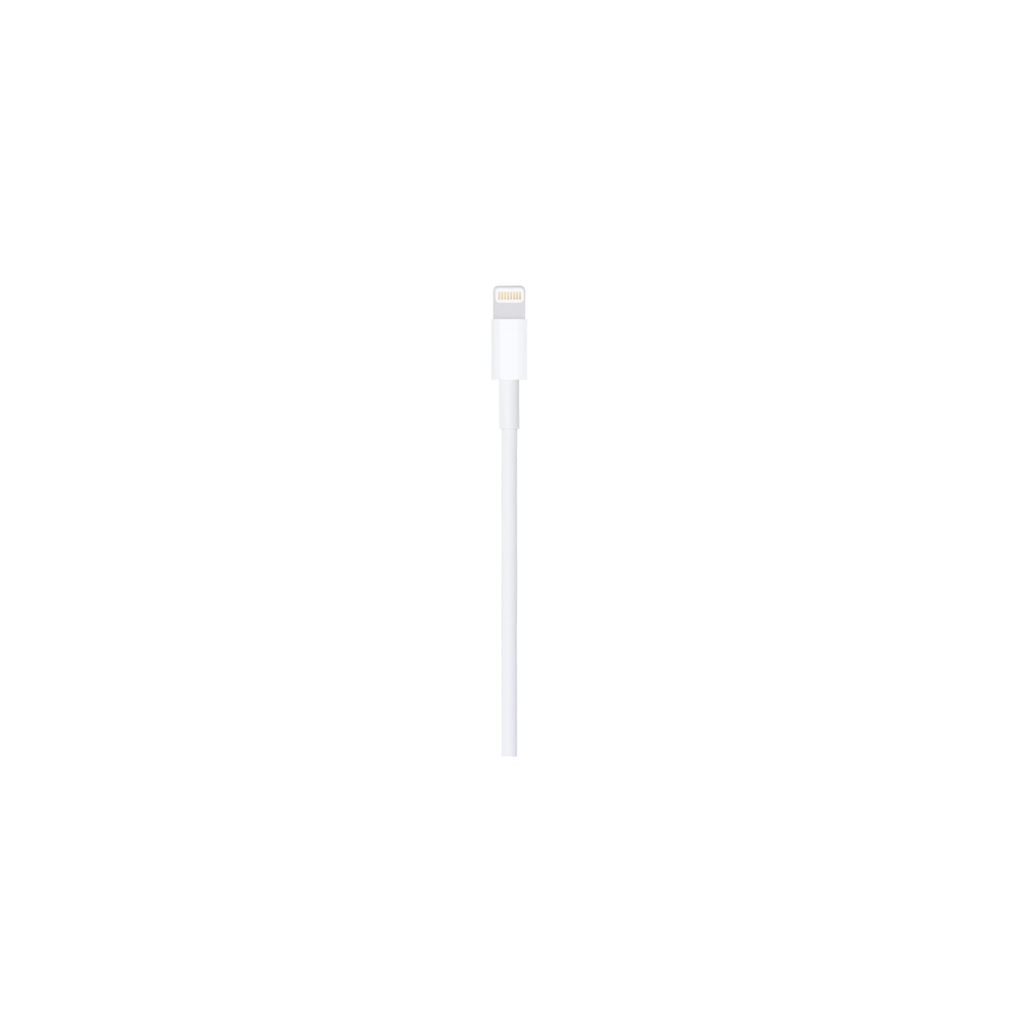 Lightning to USB Cable (1 m)