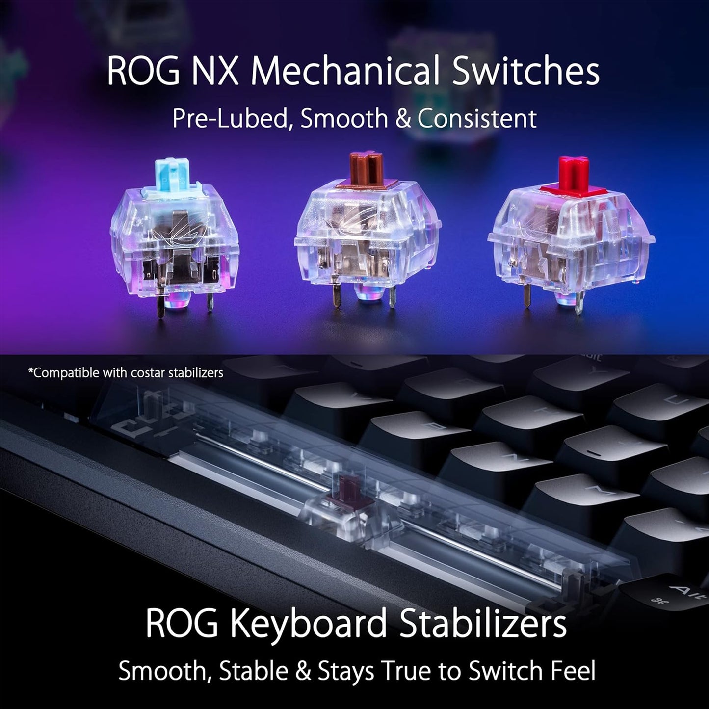 لوحة مفاتيح الألعاب ASUS ROG Azoth 75 اللاسلكية المخصصة DIY، وشاشة OLED، وحامل حشية، وتخميد ثلاثي الطبقات، ومفاتيح ROG NX بنية مسبقة التشحيم وقابلة للتبديل السريع ومثبتات لوحة المفاتيح، وأغطية مفاتيح PBT، RGB - أبيض 