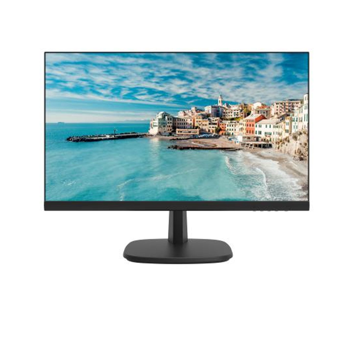 DS-D5024FN 23.8 inch FHD Borderless Monitor