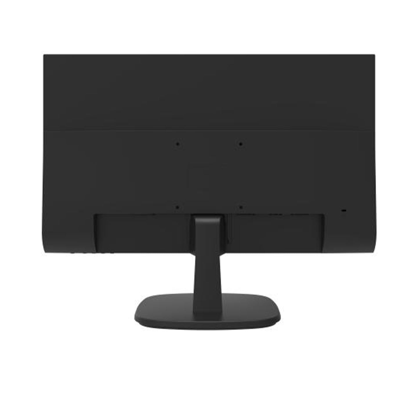 DS-D5024FN 23.8 inch FHD Borderless Monitor