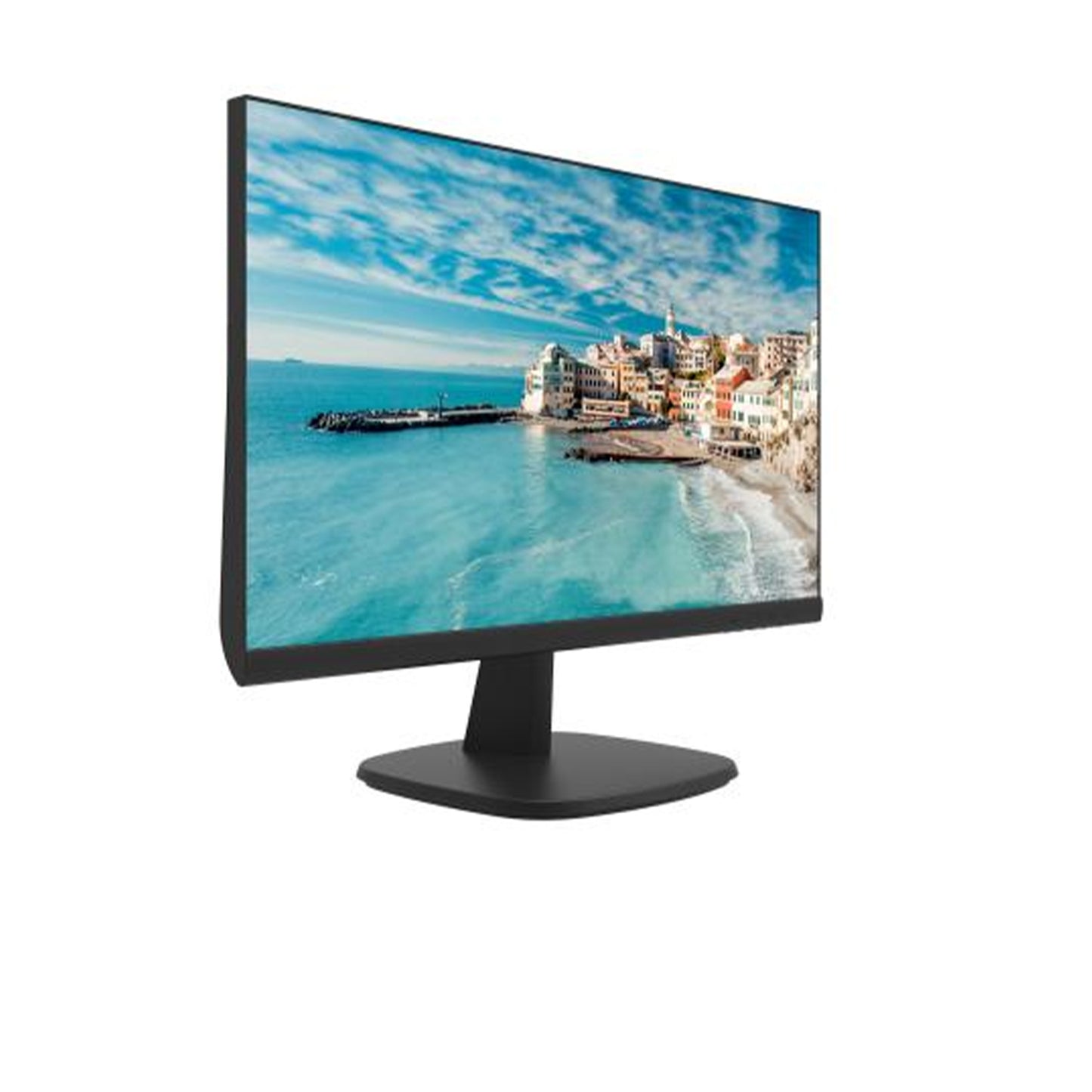 DS-D5024FN 23.8 inch FHD Borderless Monitor