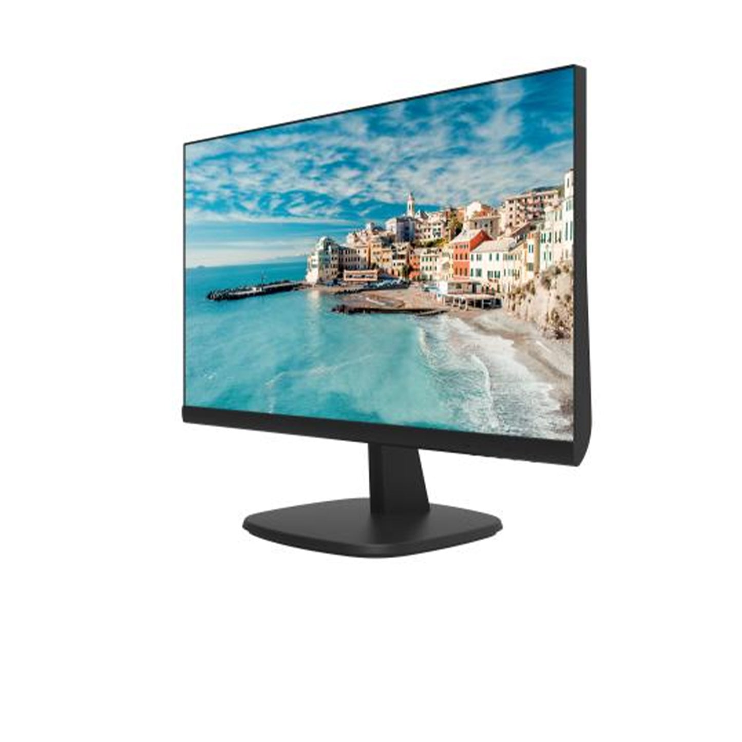 DS-D5024FN 23.8 inch FHD Borderless Monitor